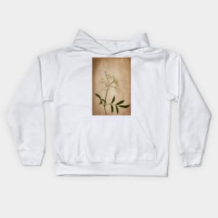 Wild Elderberry Flowers Kids Hoodie